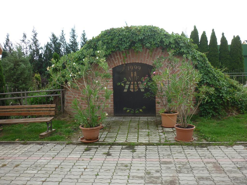 Hotel Aldos Panzio à Farád Extérieur photo